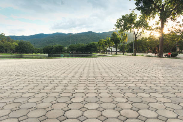 Best Driveway Pavers Near Me  in Gray, LA